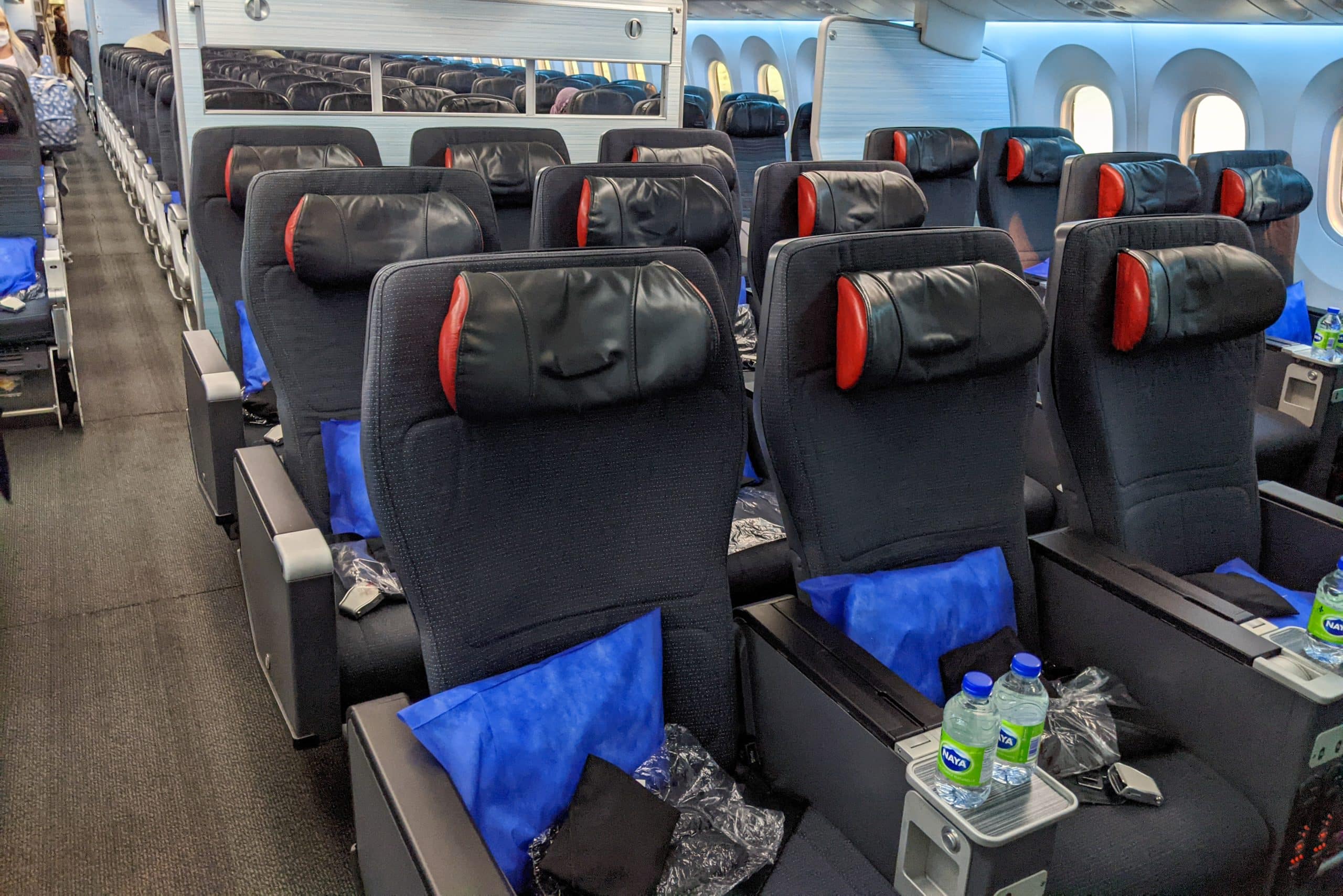 Air Canada Boeing 787-8 Dreamliner Air Canada Premium Economy cabin photo